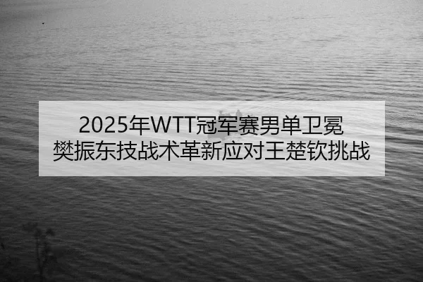 2025年WTT冠军赛男单卫冕 樊振东技战术革新应对王楚钦挑战